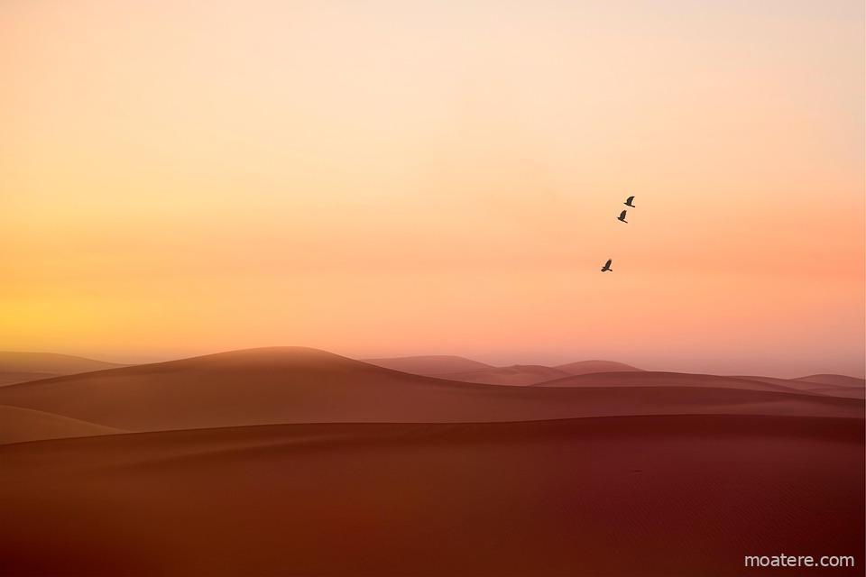 Best Co-Working Spaces in Berlin for African Remote Workers